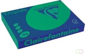 Clairefontaine Trophée Intens gekleurd papier A3 160 g 250 vel dennengroen
